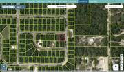marion 8011 1365 06 regrid.jpg
