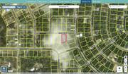 marion 9037 1211 15 regrid.jpg
