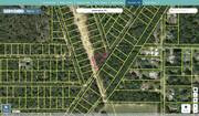 citrus 1692946 regrid.jpg
