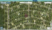 marion 9036 1158 02 regrid.jpg