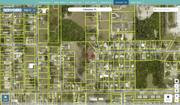 manatee 2465400006 regrid.jpg