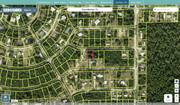 marion 1132 008 007 regrid.jpg