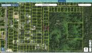 marion 9038 1283 02 regrid.jpg