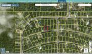 marion 9036 1164 04 regrid.jpg