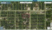 marion 1809 009 002 regrid.jpg