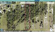 manatee 58405359 regrid.jpg