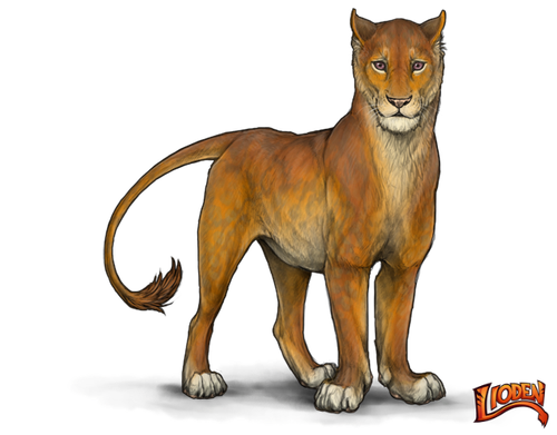 lioden wardrobe (1).png