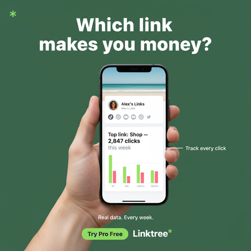 05 which link money p3.png