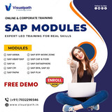 Build a High-Growth SAP Career with Visualpath Now Today