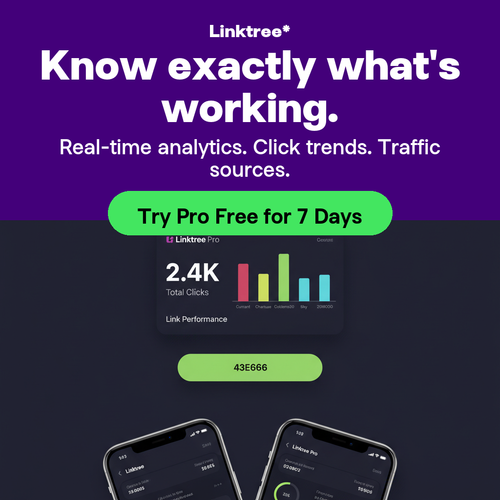 06 creator insights stats.png
