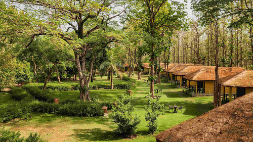Jungle Resort in Jim Corbett – Stay at Bijrani Jungle Cottages.jpg