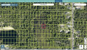 brevard 2215959 regrid.jpg