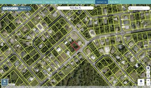 brevard 2938770 regrid.jpg