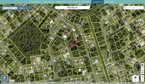 brevard 2939187 regrid.jpg