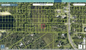 brevard 2216148 regrid.jpg