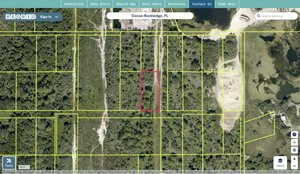 brevard 2311448 regrid.jpg
