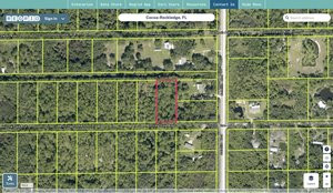 brevard 2406277 regrid.jpg