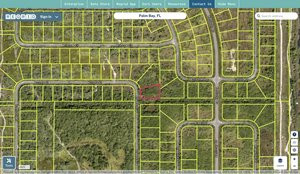 brevard 2909797 regrid.jpg
