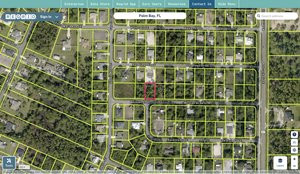 brevard 2940310 regrid.jpg