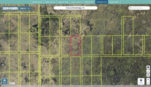 brevard 2500028 regrid.jpg
