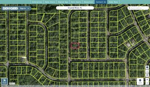 citrus 1423139 regrid.jpg