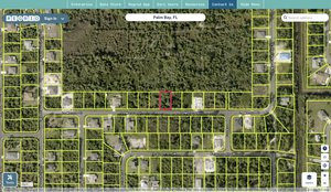 brevard 2920576 regrid.jpg