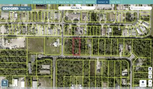 brevard 2922925 regrid.jpg