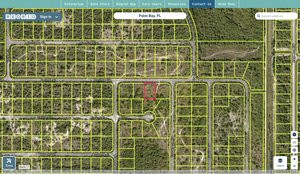 brevard 2920169 regrid.jpg