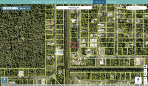 brevard 2947813 regrid.jpg