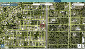 brevard 2934586 regrid.jpg