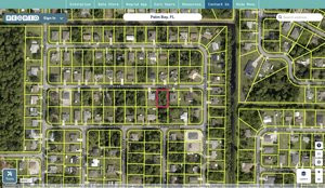 brevard 2935281 regrid.jpg