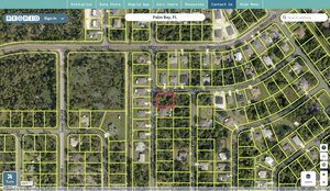brevard 2949237 regrid.jpg