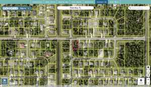 brevard 2912241 regrid.jpg