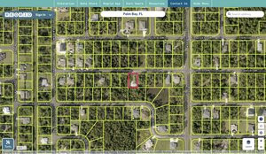 brevard 2914049 regrid.jpg