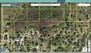 osceola 31273260004341000n regrid.jpg