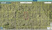volusia 710801040290 regrid.jpg