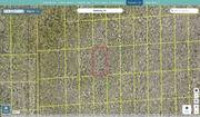 volusia 712101040110 regrid.jpg