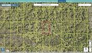 volusia 612801050220 regrid.jpg