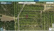 putnam 11 10 23 9306 0100 0170 regrid.jpg