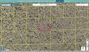 volusia 502200000982 regrid.jpg