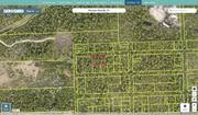 volusia 482001410380 regrid.jpg