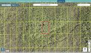 volusia 613301010070 regrid.jpg