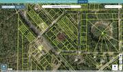 putnam 34 09 24 3245 0120 0290 regrid.jpg