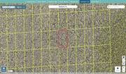 volusia 712101050190 regrid.jpg