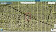 volusia 830401010110 regrid.jpg