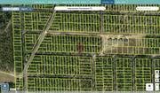 putnam 11 10 23 9306 0110 0080 regrid.jpg