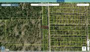 putnam 11 10 23 9306 0160 0090 regrid.jpg