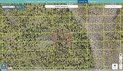 volusia 502300000650 regrid.jpg