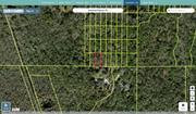 pasco 09 26 19 0010 0250s 0070 regrid.jpg
