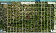 pasco 10 26 19 0010 0050s 0060 regrid.jpg